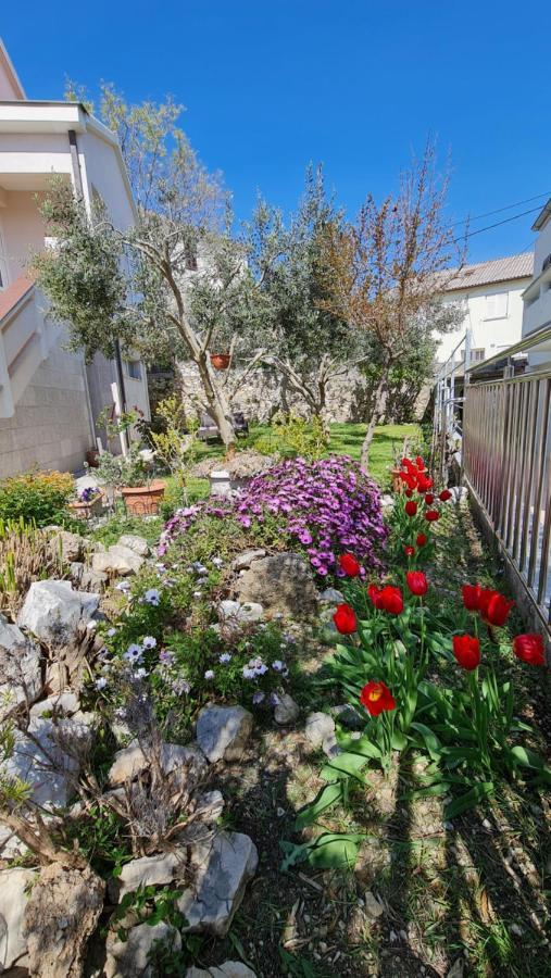 Apartmani Dami Novalja Dış mekan fotoğraf